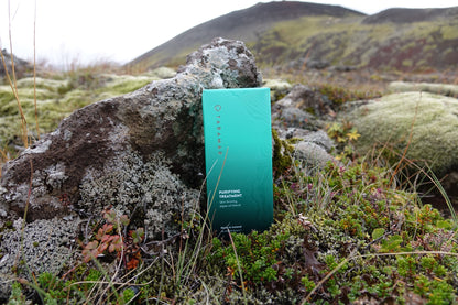 Purifying Treatmenti karp Islandi sambla ja kivide vahel